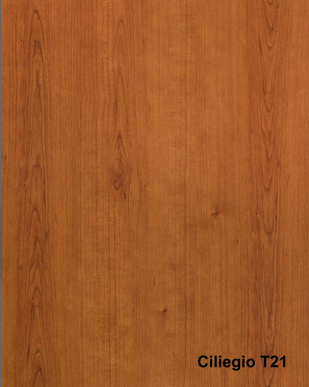 PANNELLO PER PORTA BLINDATA IN MELAMINICO "CLASSICI OPACHI"  LINEA CLASSICA